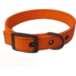 Περιλαίμιο Σκύλου Πορτοκαλί 64x2.5 εκ.