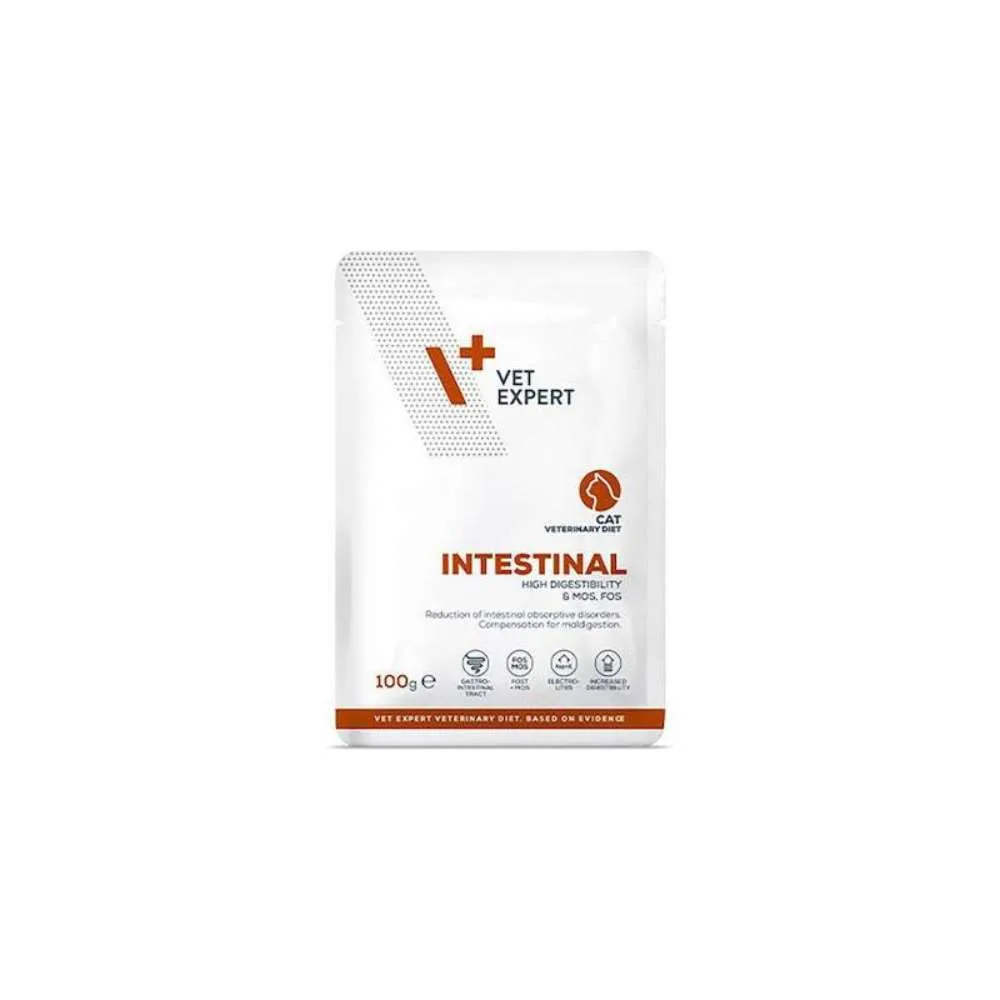 Vet Expert Intestinal Cat Φακελάκι 100gr