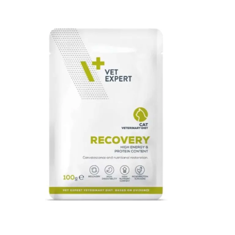 Vet Expert recovery Cat Φακελάκι 100gr