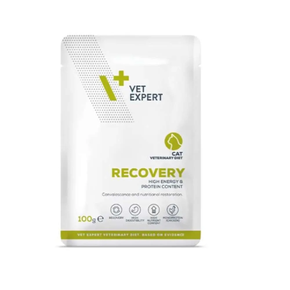 Vet Expert recovery Cat Φακελάκι 100gr