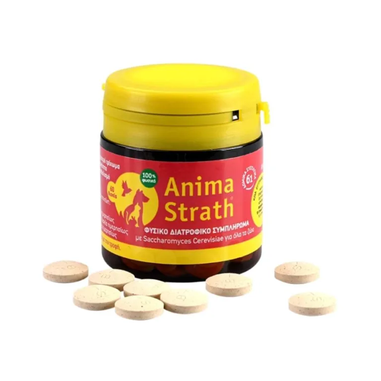 Anima Strath για Ενέργεια & Τόνωση σε Δισκία 60 tabs