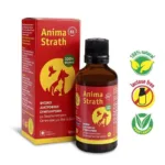 Anima Strath για Ενέργεια & Τόνωση σε Σιρόπι 50ml